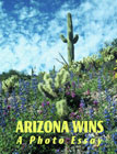 Arizona WIns cover