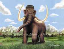 Mammoth painting